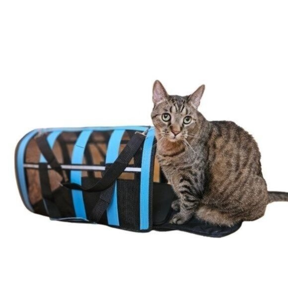 Pet Carrier, Green Stripe - Picture 4 of 5